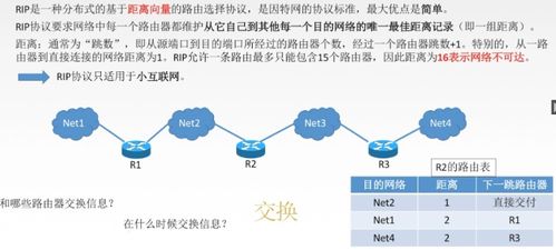 网络层技术咨询 原理、应用与发展